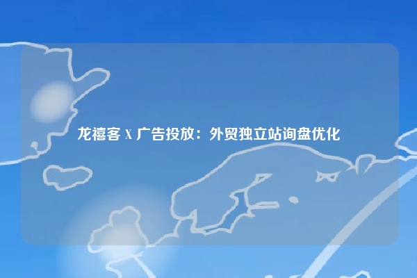 龙禧客 X 广告投放：外贸独立站询盘优化