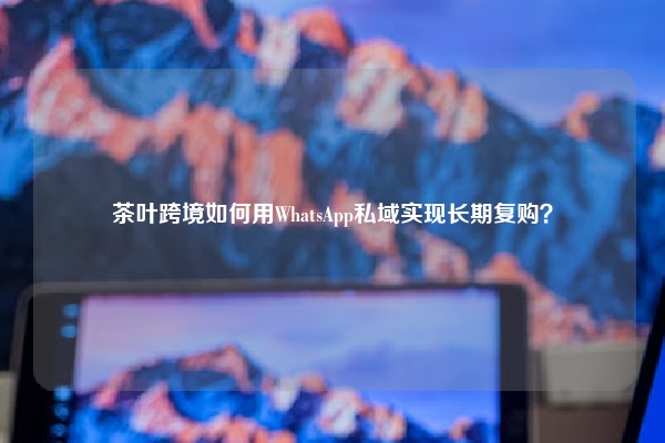 茶叶跨境如何用WhatsApp私域实现长期复购？