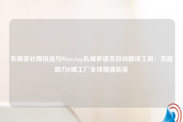 东南亚社媒投流与WhatsApp私域多语言自动翻译工具:龙禧助力B端工厂全球精准拓客
