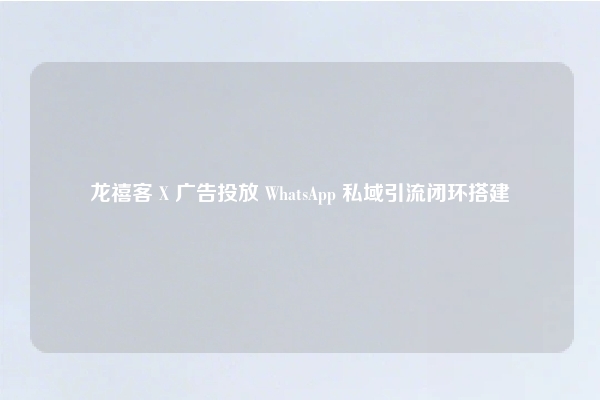 龙禧客 X 广告投放 WhatsApp 私域引流闭环搭建