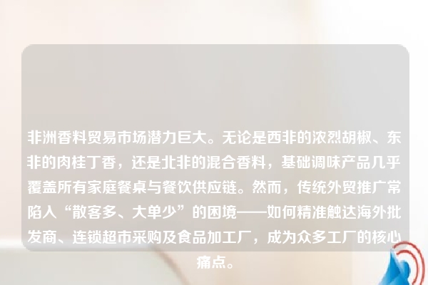 非洲香料贸易市场潜力巨大。无论是西非的浓烈胡椒、东非的肉桂丁香，还是北非的混合香料，基础调味产品几乎覆盖所有家庭餐桌与餐饮供应链。然而，传统外贸推广常陷入“散客多、大单少”的困境——如何精准触达海外批发商、连锁超市采购及食品加工厂，成为众多工厂的核心痛点。