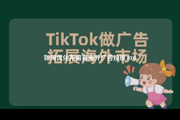 如何优化龙禧客海外广告投放 ROI