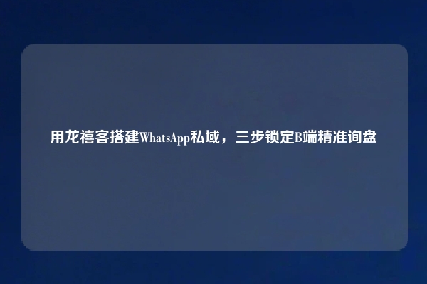 用龙禧客搭建WhatsApp私域，三步锁定B端精准询盘