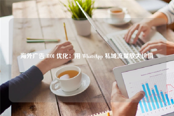 海外广告 ROI 优化：用 WhatsApp 私域流量放大价值