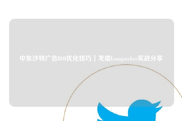 中东沙特广告ROI优化技巧|龙禧Loongseeker实战分享
