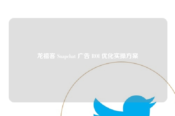 龙禧客 Snapchat 广告 ROI 优化实操方案