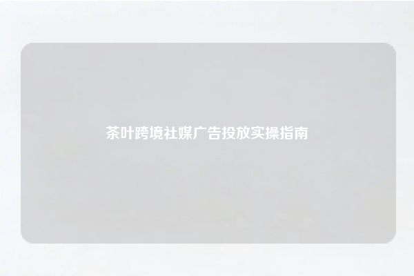 茶叶跨境社媒广告投放实操指南