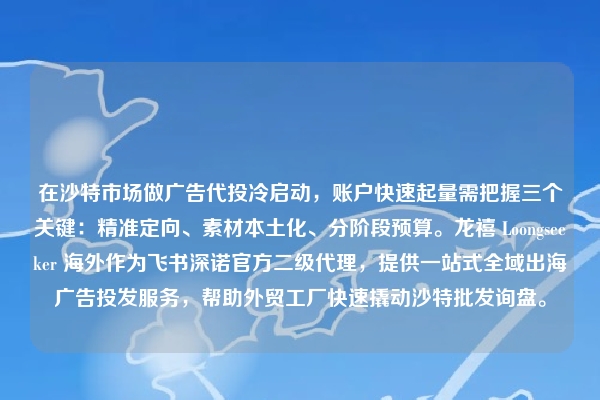 在沙特市场做广告代投冷启动，账户快速起量需把握三个关键：精准定向、素材本土化、分阶段预算。龙禧 Loongseeker 海外作为飞书深诺官方二级代理，提供一站式全域出海广告投发服务，帮助外贸工厂快速撬动沙特批发询盘。
