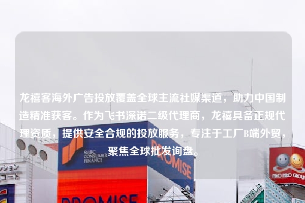 龙禧客海外广告投放覆盖全球主流社媒渠道，助力中国制造精准获客。作为飞书深诺二级代理商，龙禧具备正规代理资质，提供安全合规的投放服务，专注于工厂B端外贸，聚焦全球批发询盘。